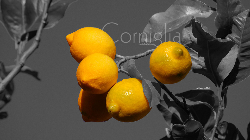 001 Corniglia Desktop