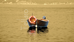 002 Tellaro Desktop